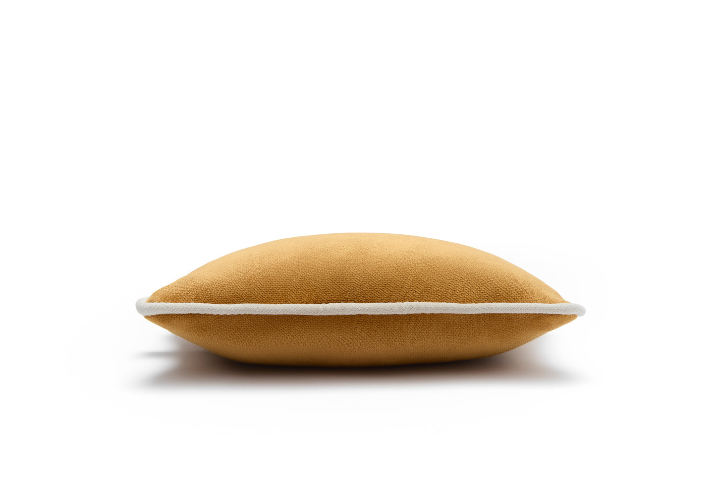 MICRO PILLOW | Velvet Cushion Gold Frame