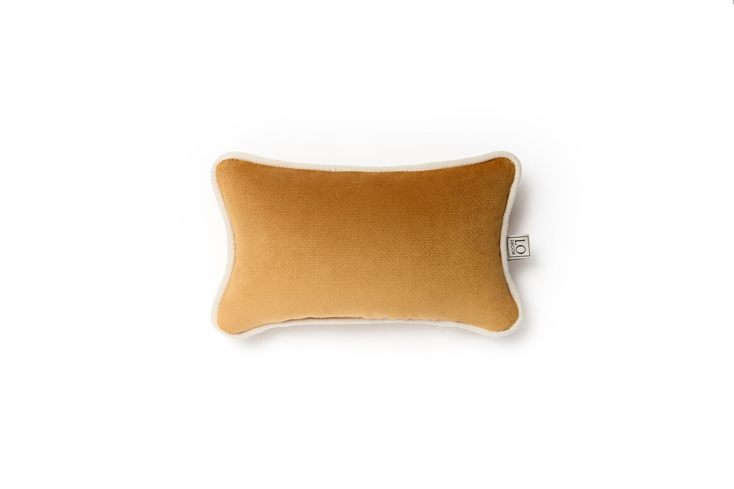 MICRO PILLOW | Velvet Cushion Gold Frame