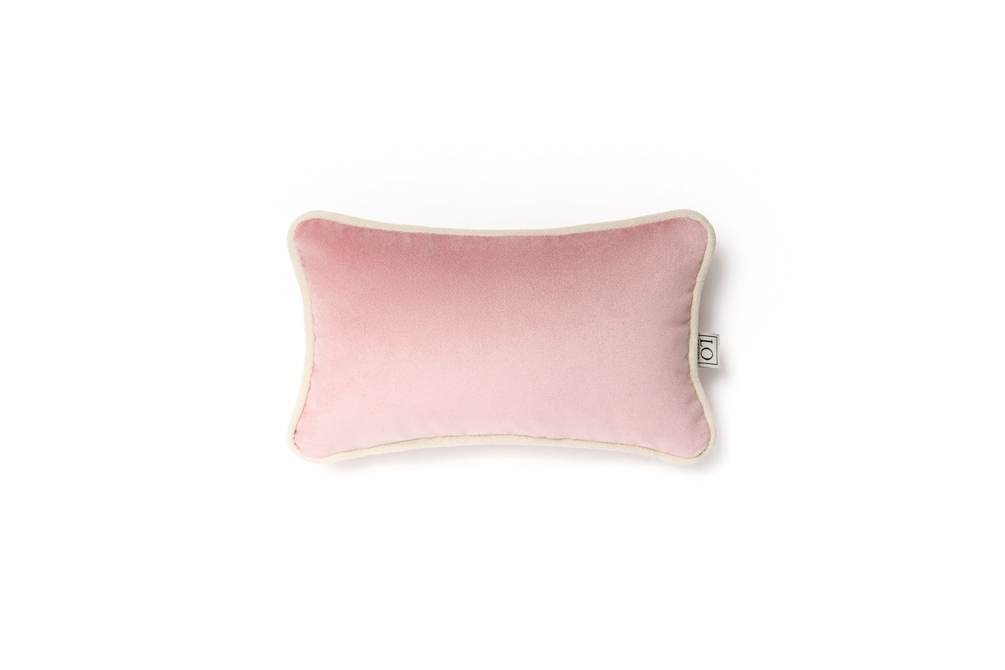 MICRO PILLOW | Velvet Cushion Pink Frame