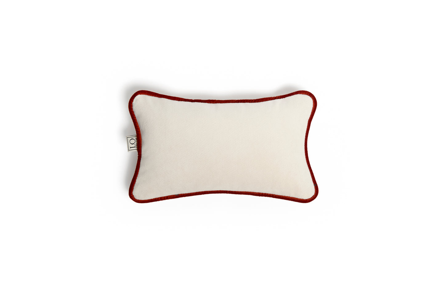 MICRO PILLOW | Velvet Cushion White&Brick Frame