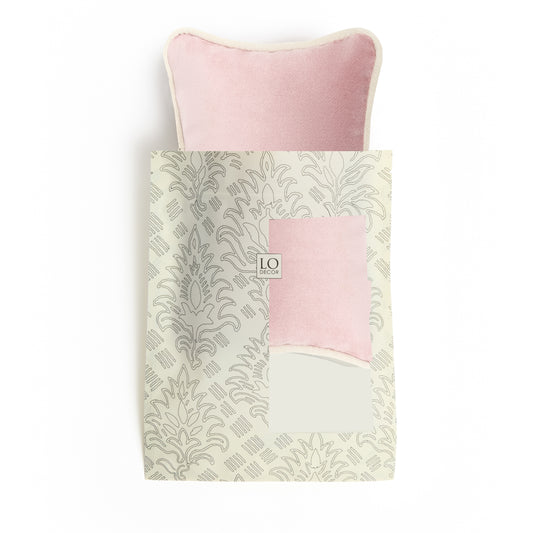 MICRO PILLOW | Velvet Cushion Pink Frame